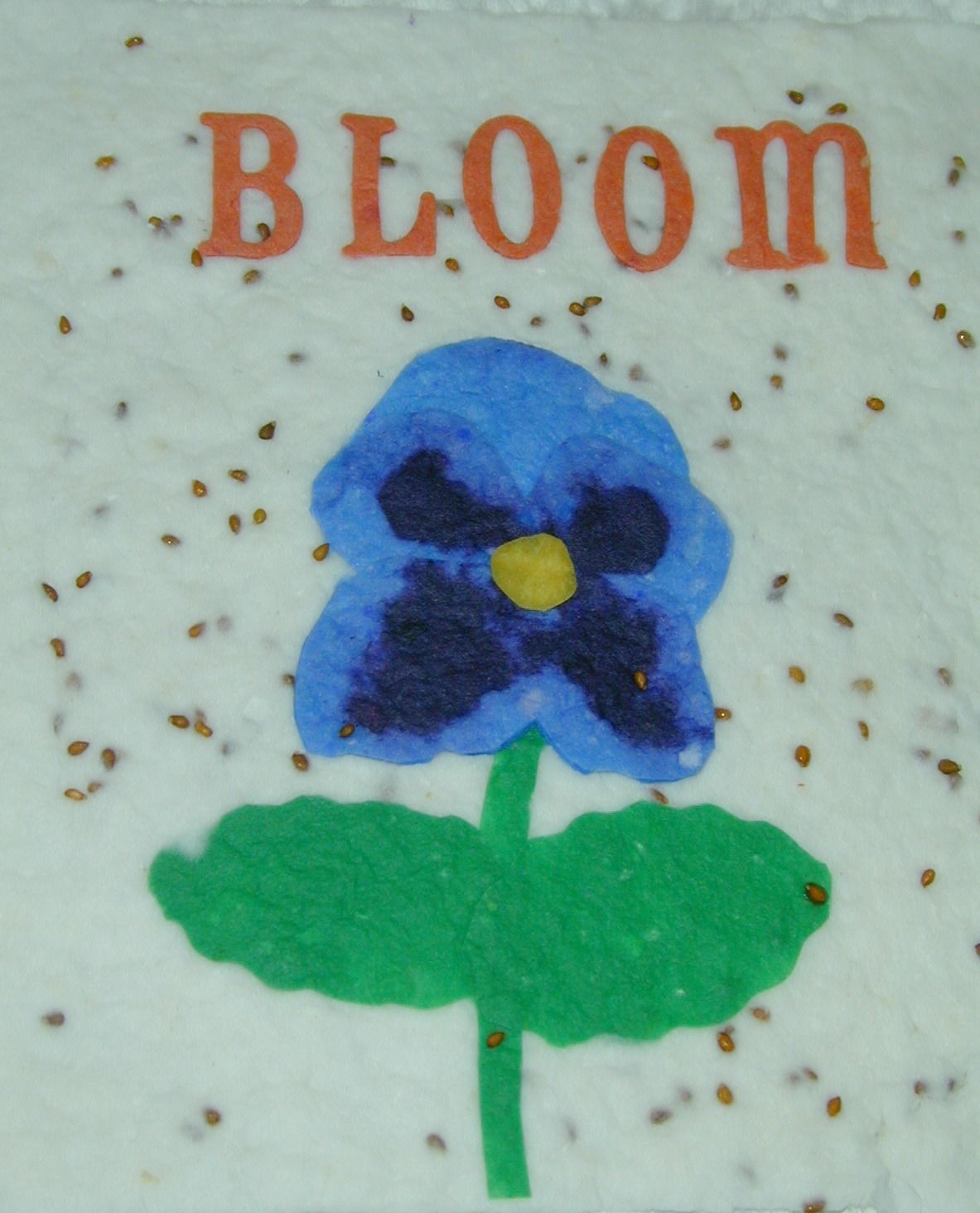 Let Us Green You Up (grow Your Own Paper Planter Cards )