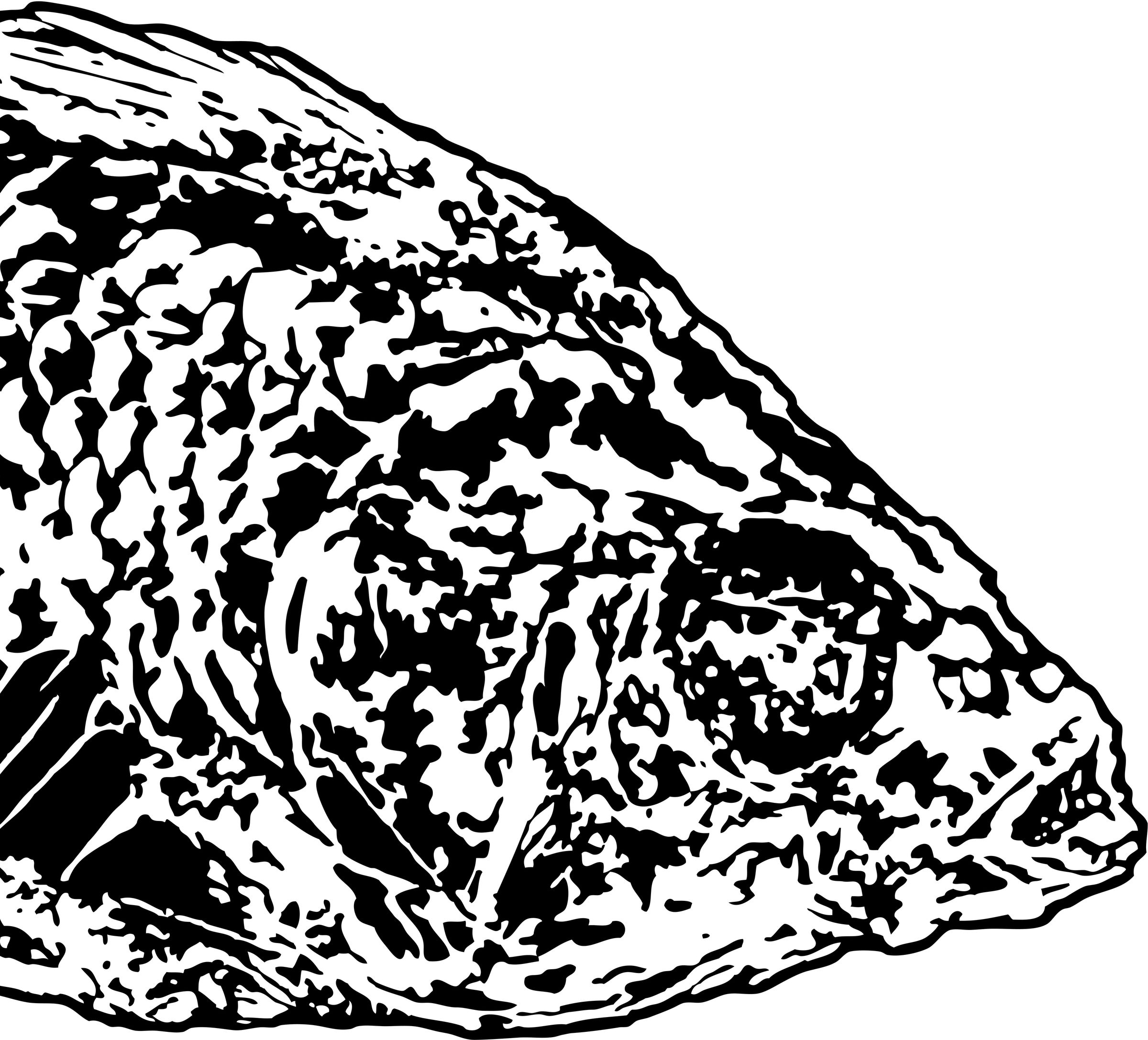 Shadow Trapunto Quilting