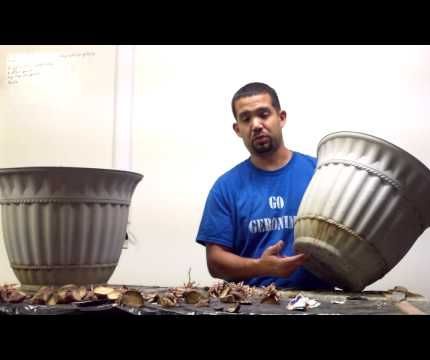 How to Plant Potatoes in Planters Part 2