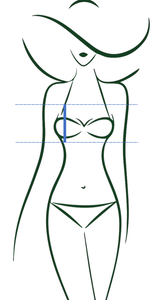 Bust Pattern - Overall Shape