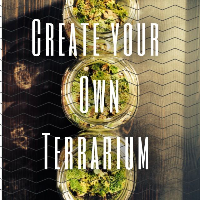 Create Your Own Terrarium