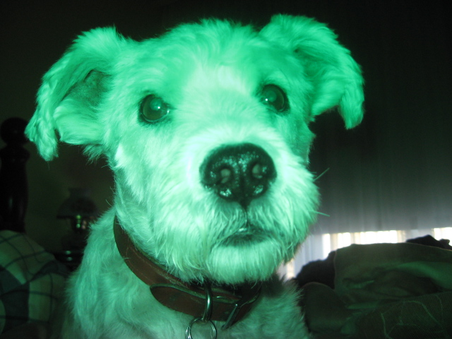 Color Filter for Camera