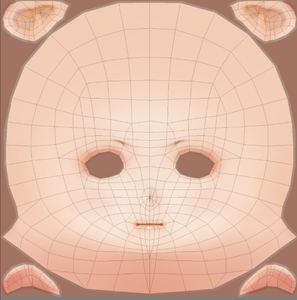 Create the Face of Your Model