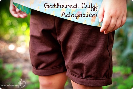 Bonus! Shorts Adaptation