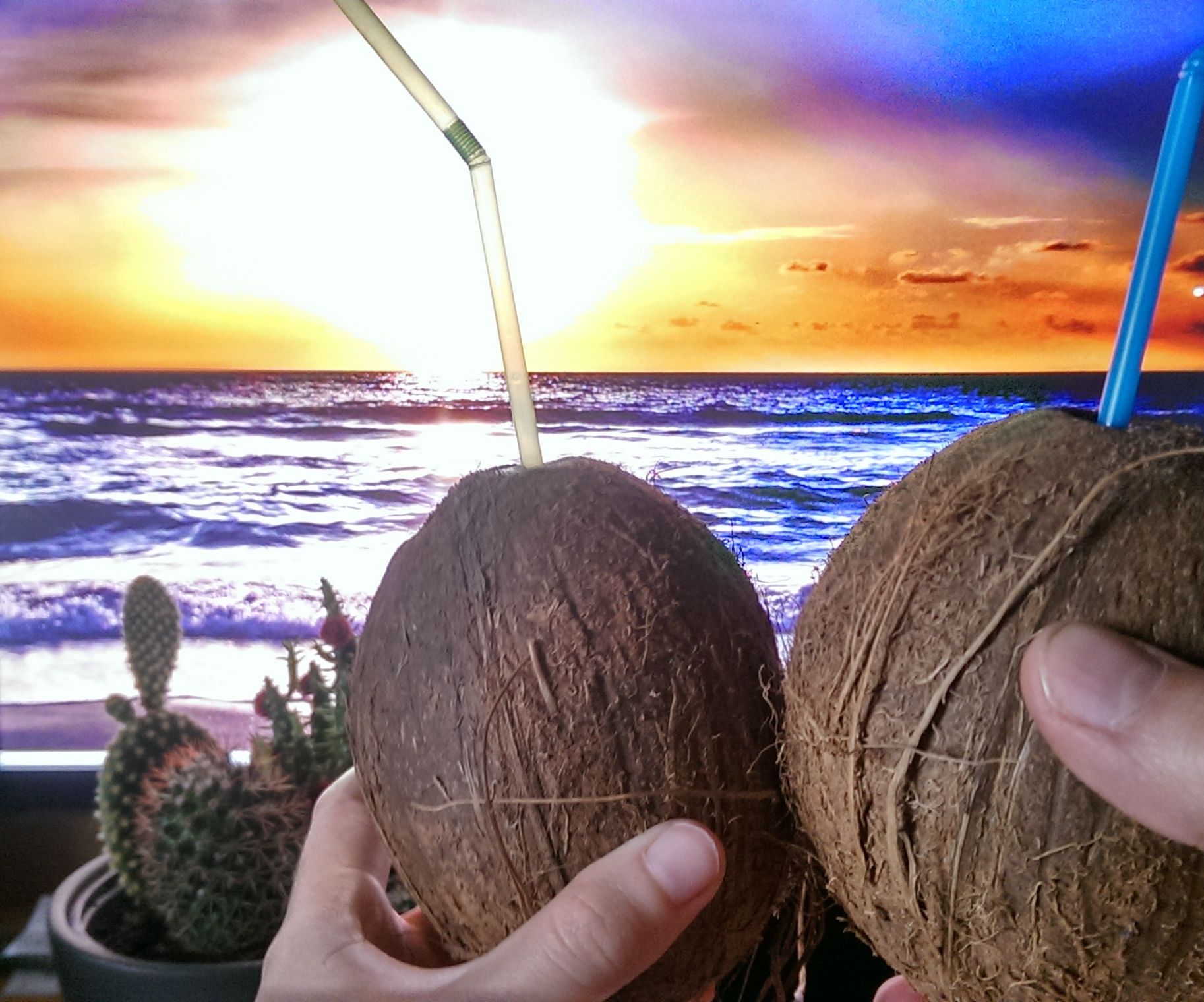 Coconut White Russian - Inside a Coconut!
