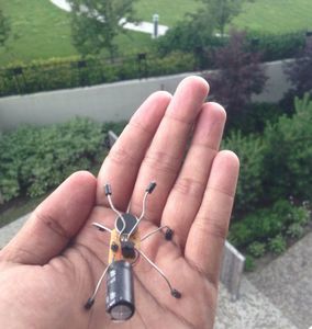 Insect Bot : 8 Steps (with Pictures) - Instructables