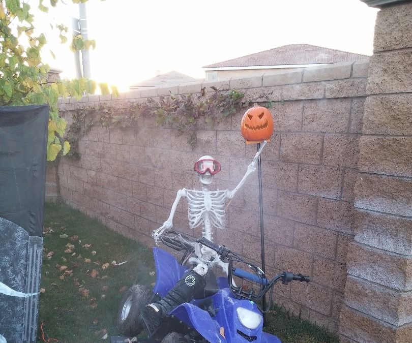 Party in the graveyard !!