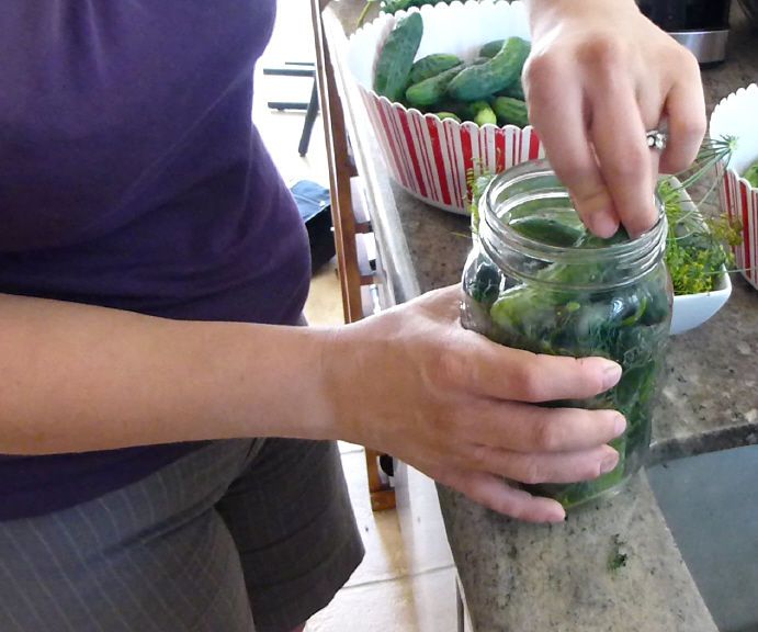 Super Easy Kosher Dill Pickles 