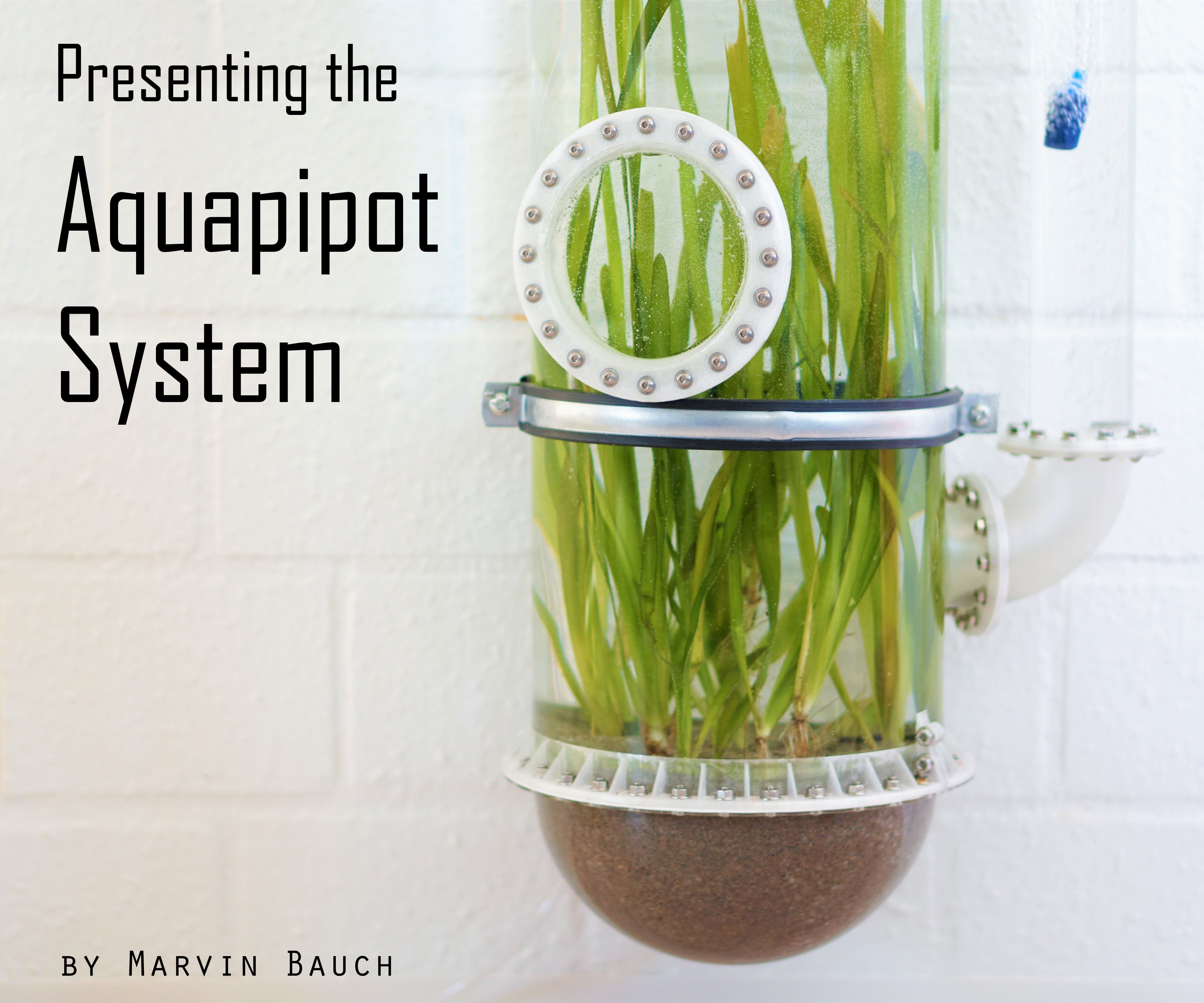 Aquapipot: Waterplanter, Aquatic Flowerpot, Aquarium, Pipe Structure - Difficult to Describe, Just Look.