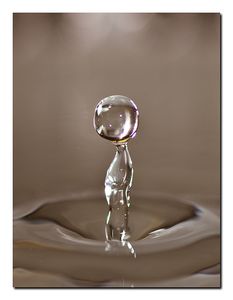 Drip Irrigation Using Pet Bottle