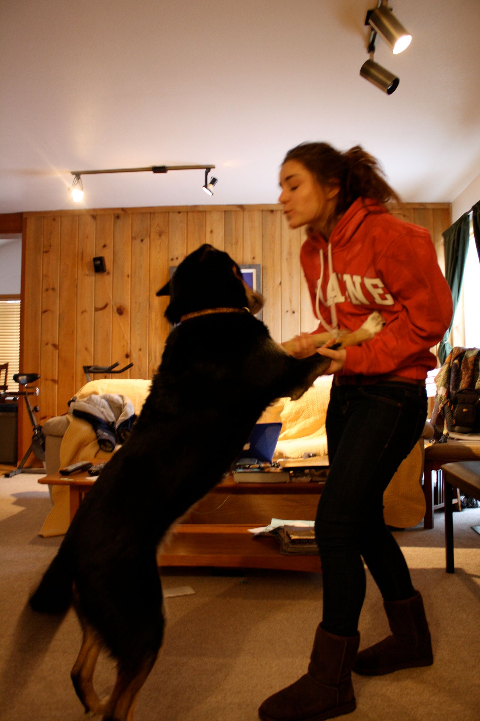 How to Make Your Dog Jump Up and Kiss Your Face 5 Steps Instructables