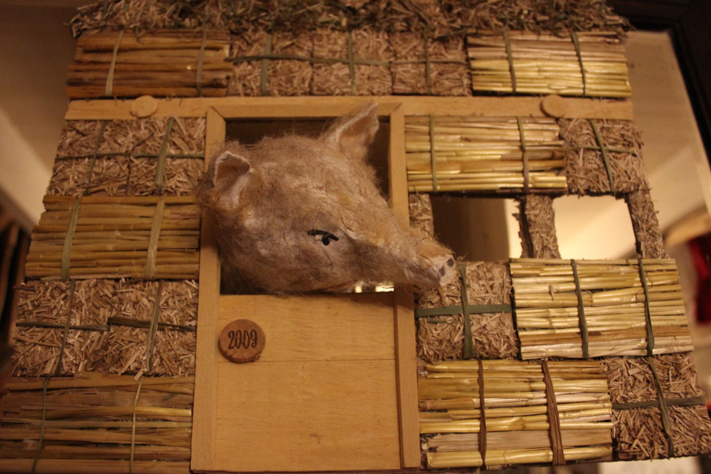 Making Ecological Puppets, Sets and Costumes. Marionnettes Ecolos. Titeres Ecologicos