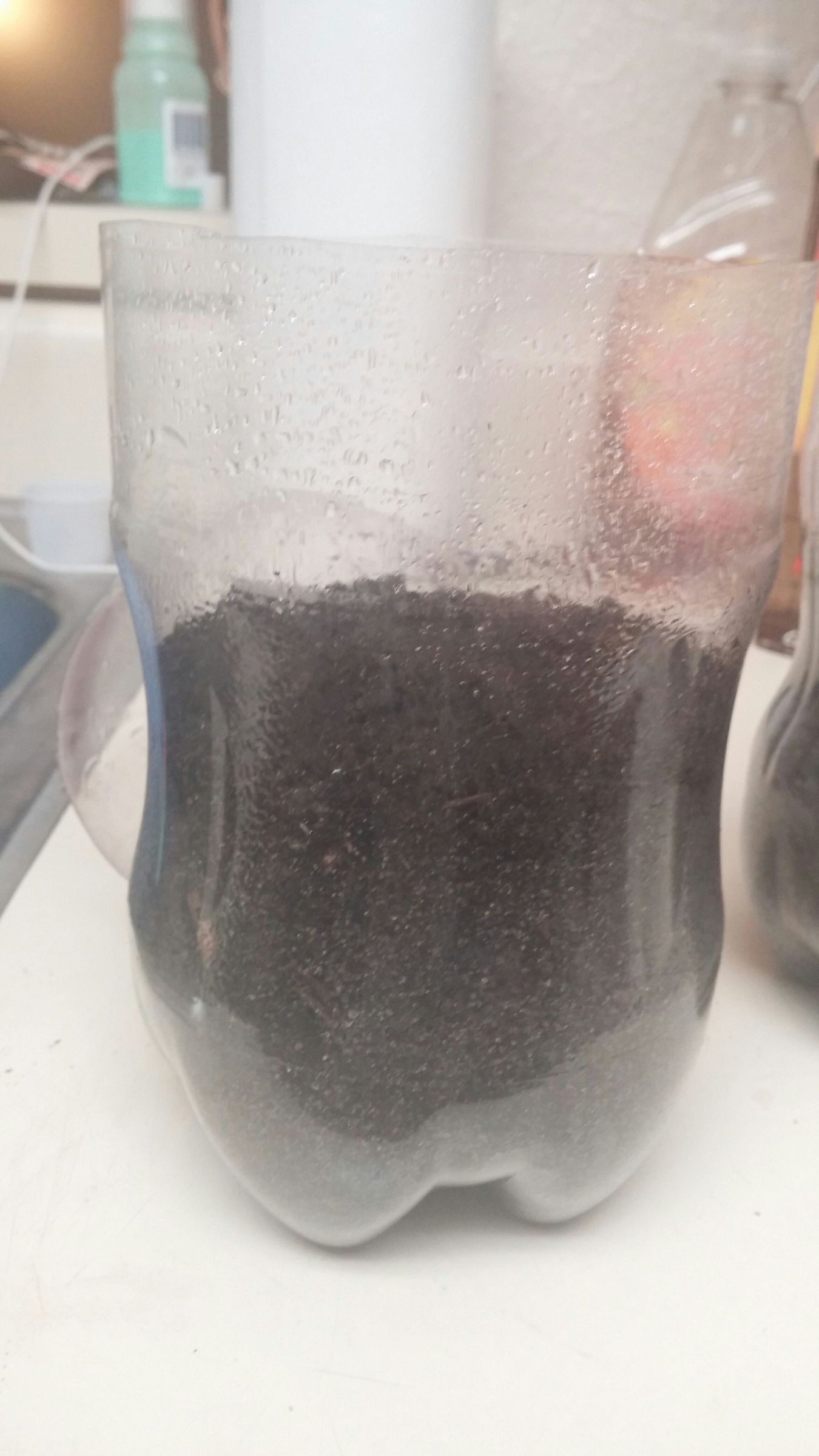 Tiny Greenhouses From Coke Bottles 9 Steps Instructables