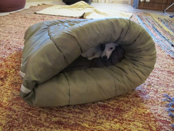 My Dog Winter Bed
