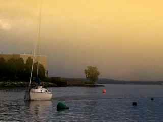 The Wall: a Waterfront Mural Project