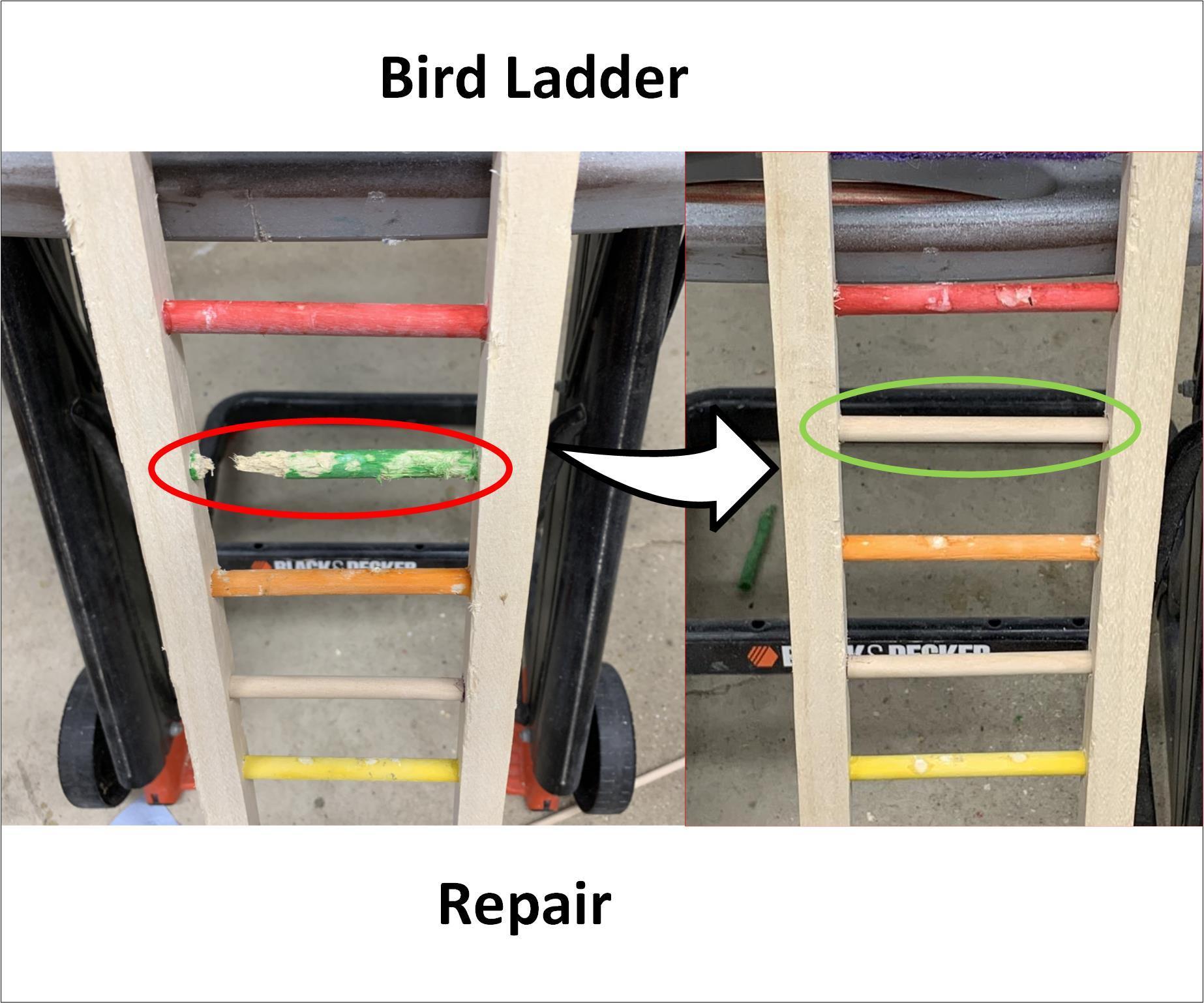 Bird Ladder Repair 9 Steps (with Pictures) Instructables