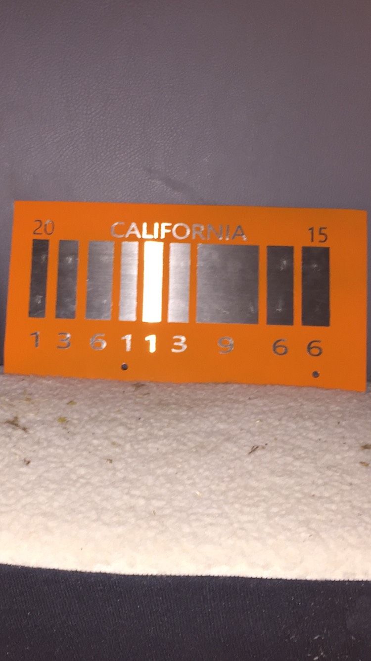 Back to the Future License Plate