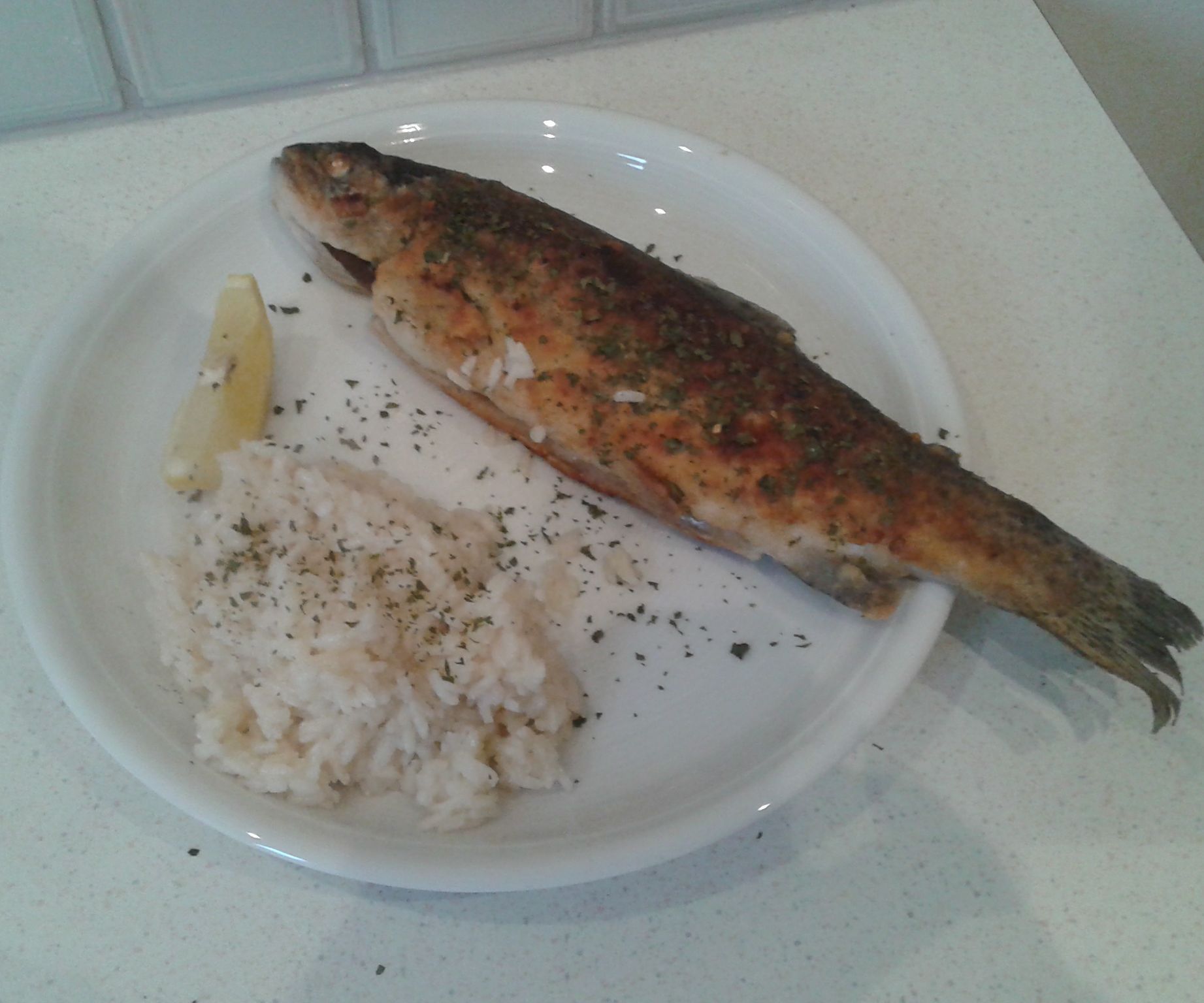 Trout (Forelle) Müllerin Art