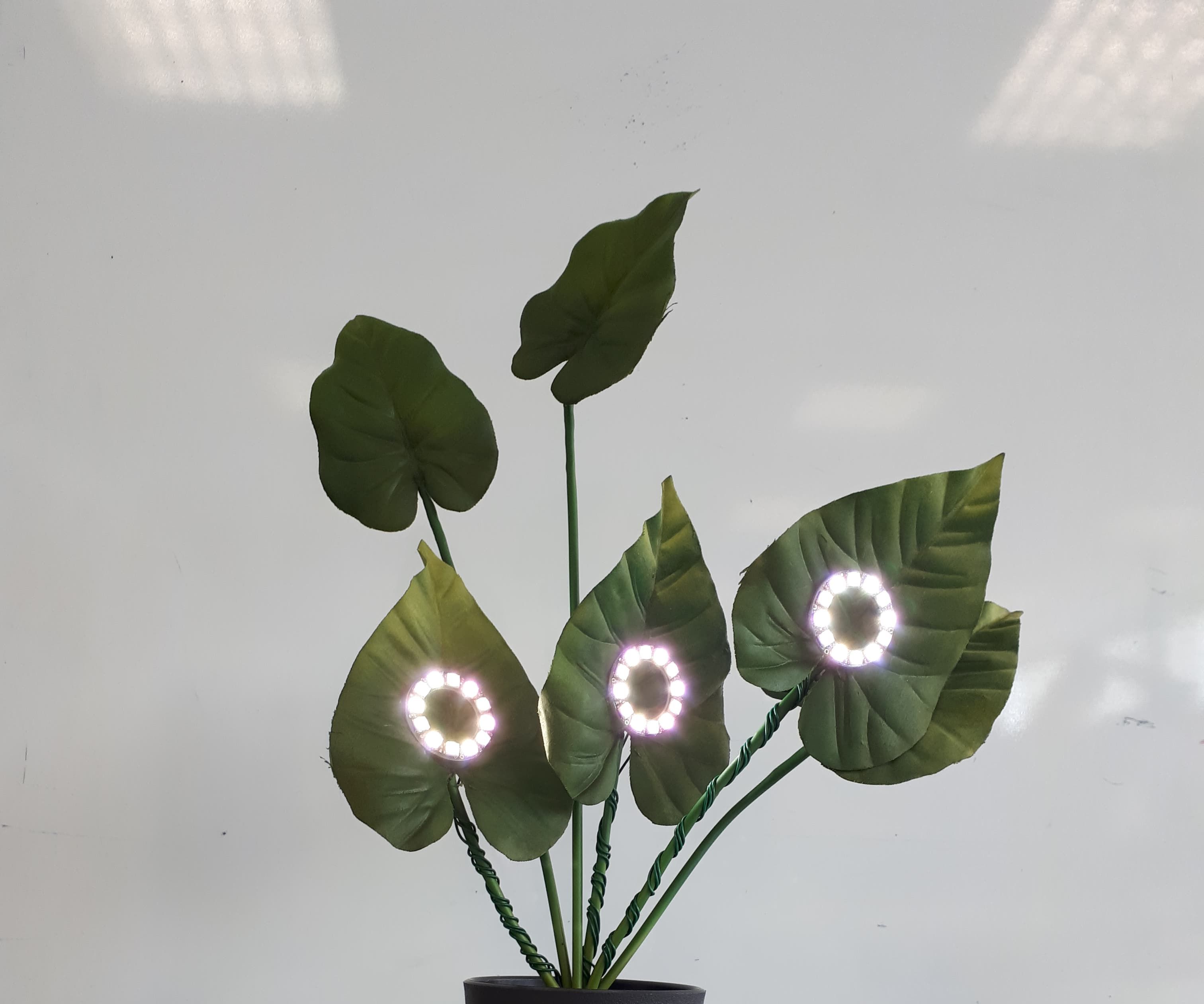 Light Bamboo (Connected Lamp)