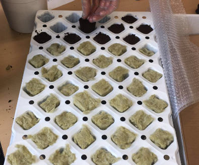 Solar Greenhouse [Phablabs 4.0]