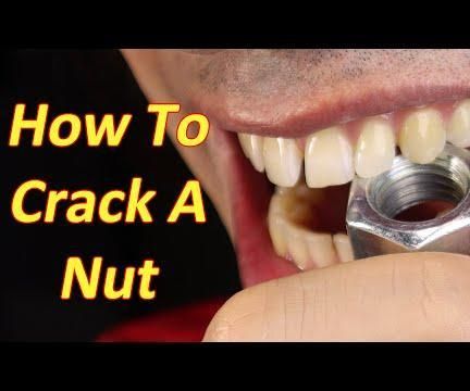 Nut Splitter