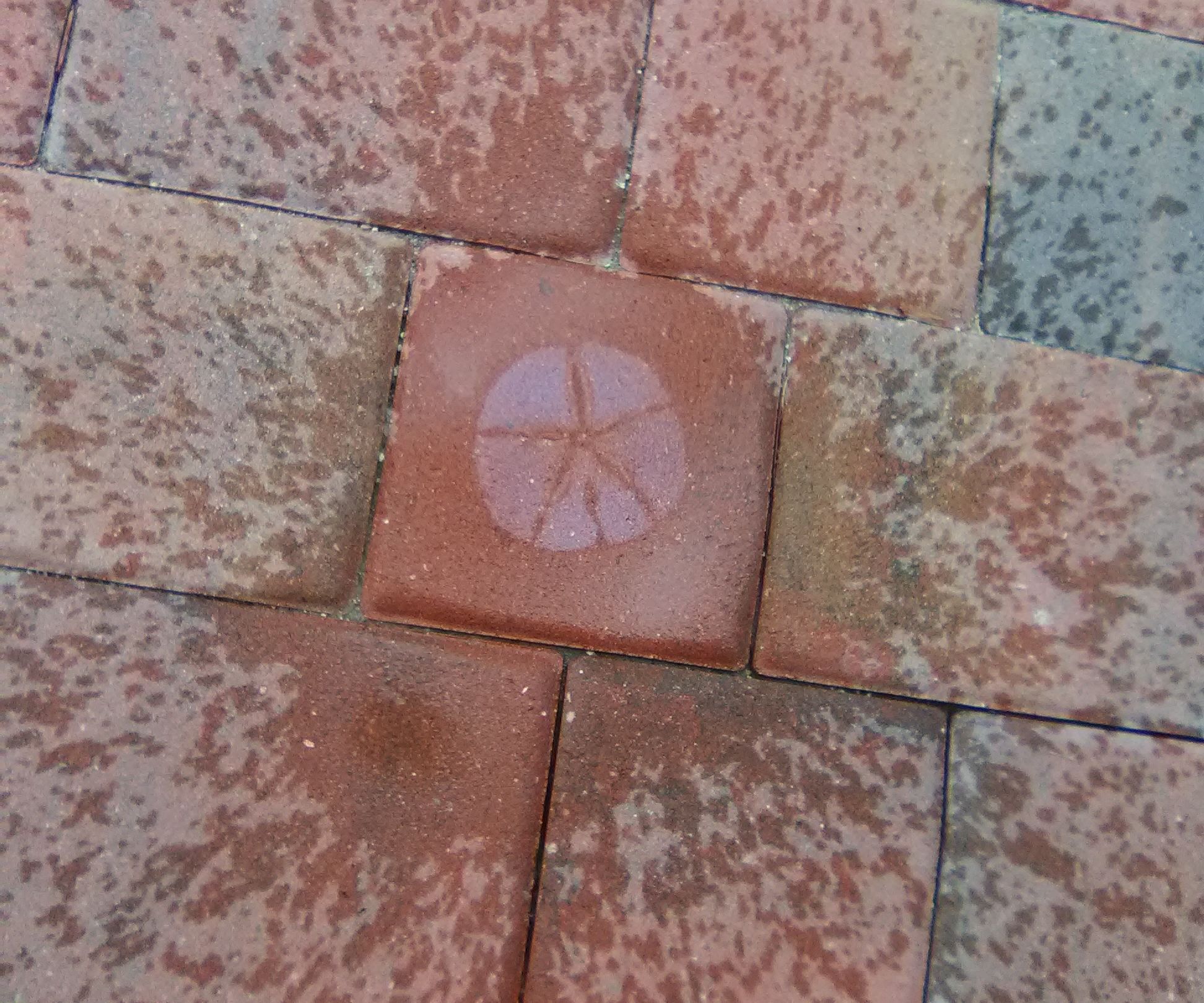 Water Activated Hidden Art