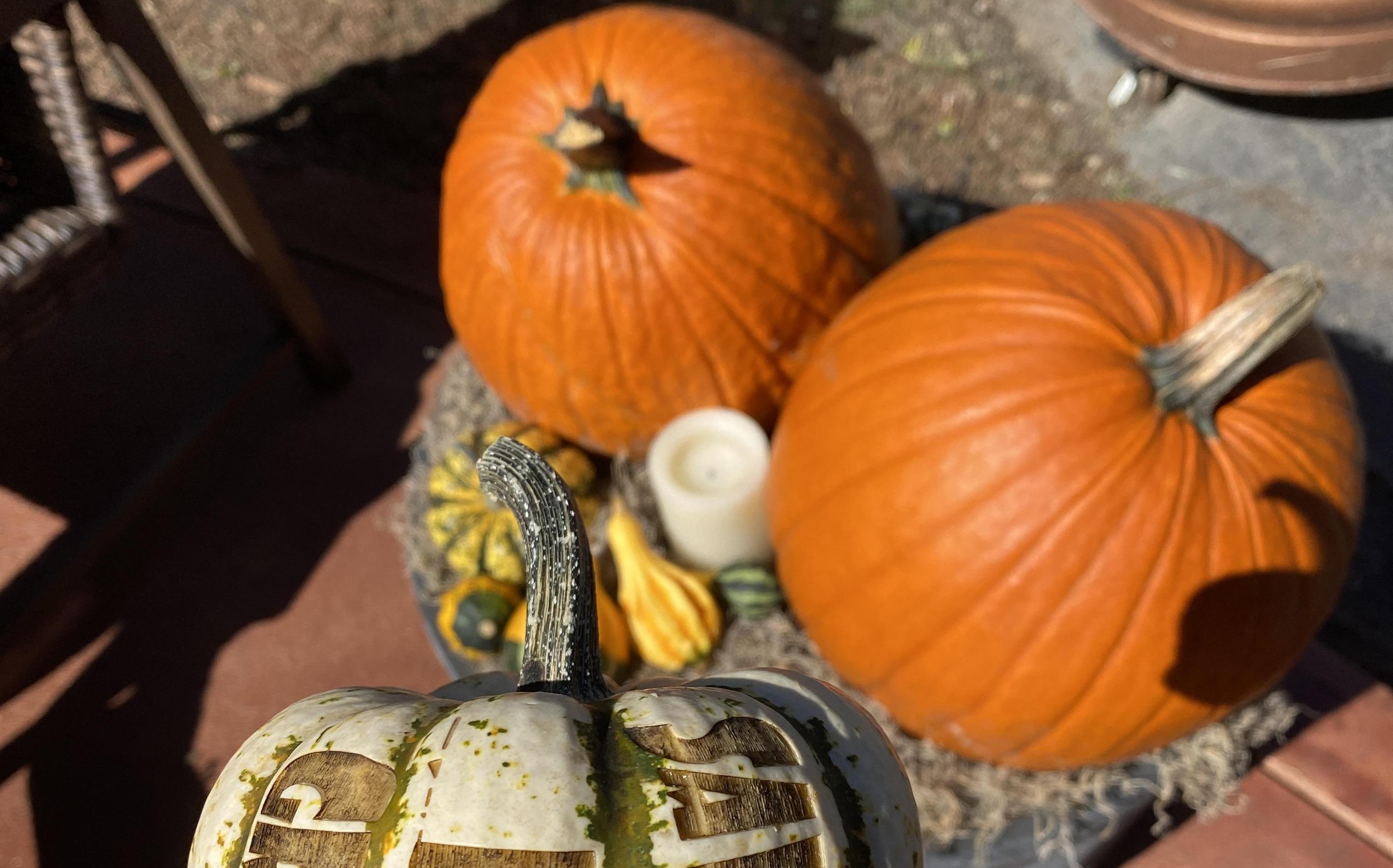 Laser Engraved Pumpkins