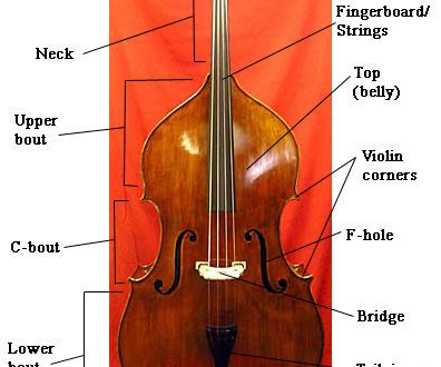 How to Get Good on Double Bass