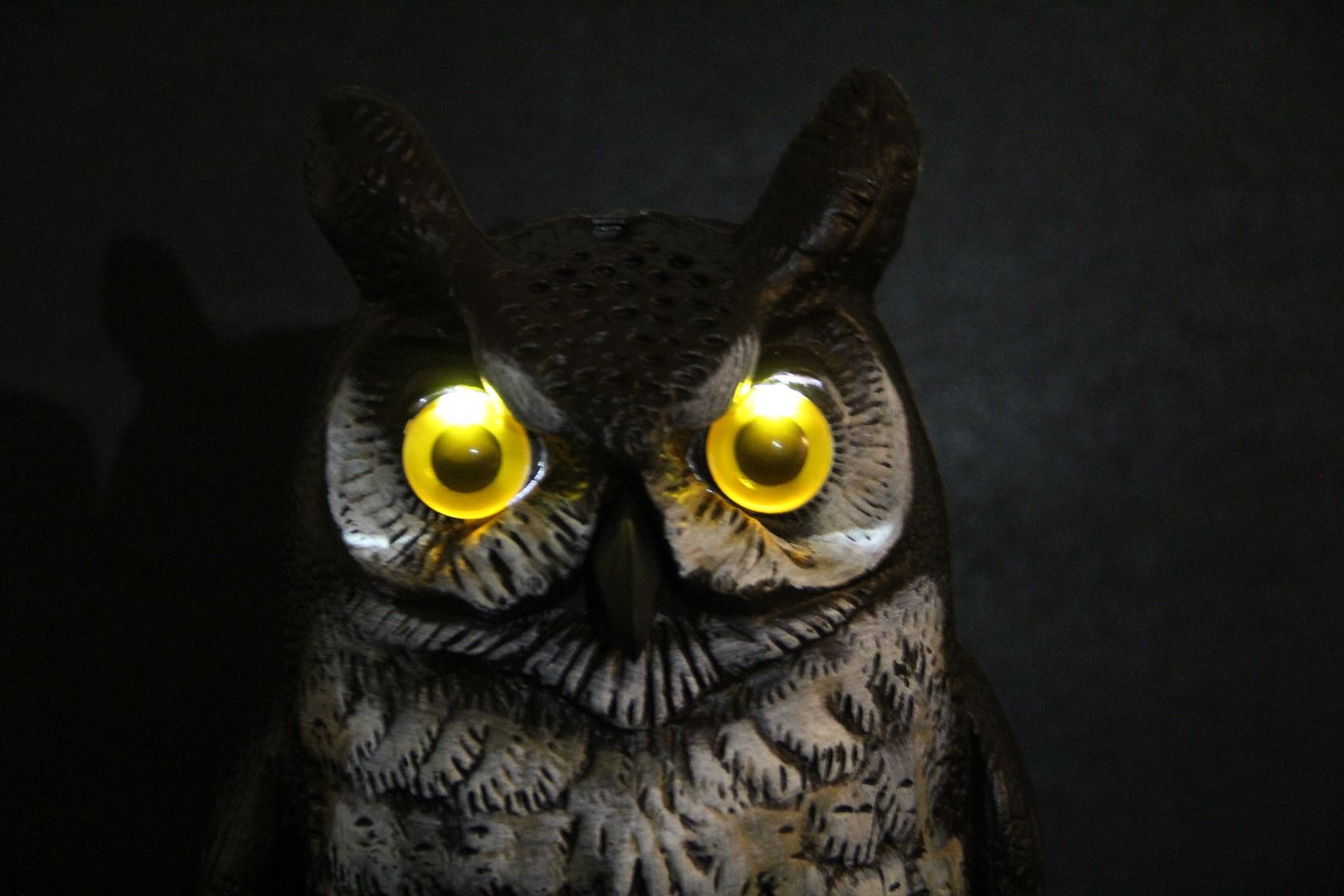 LED Owl and 5 LED Pumpkins Sing Raffi - Instructables