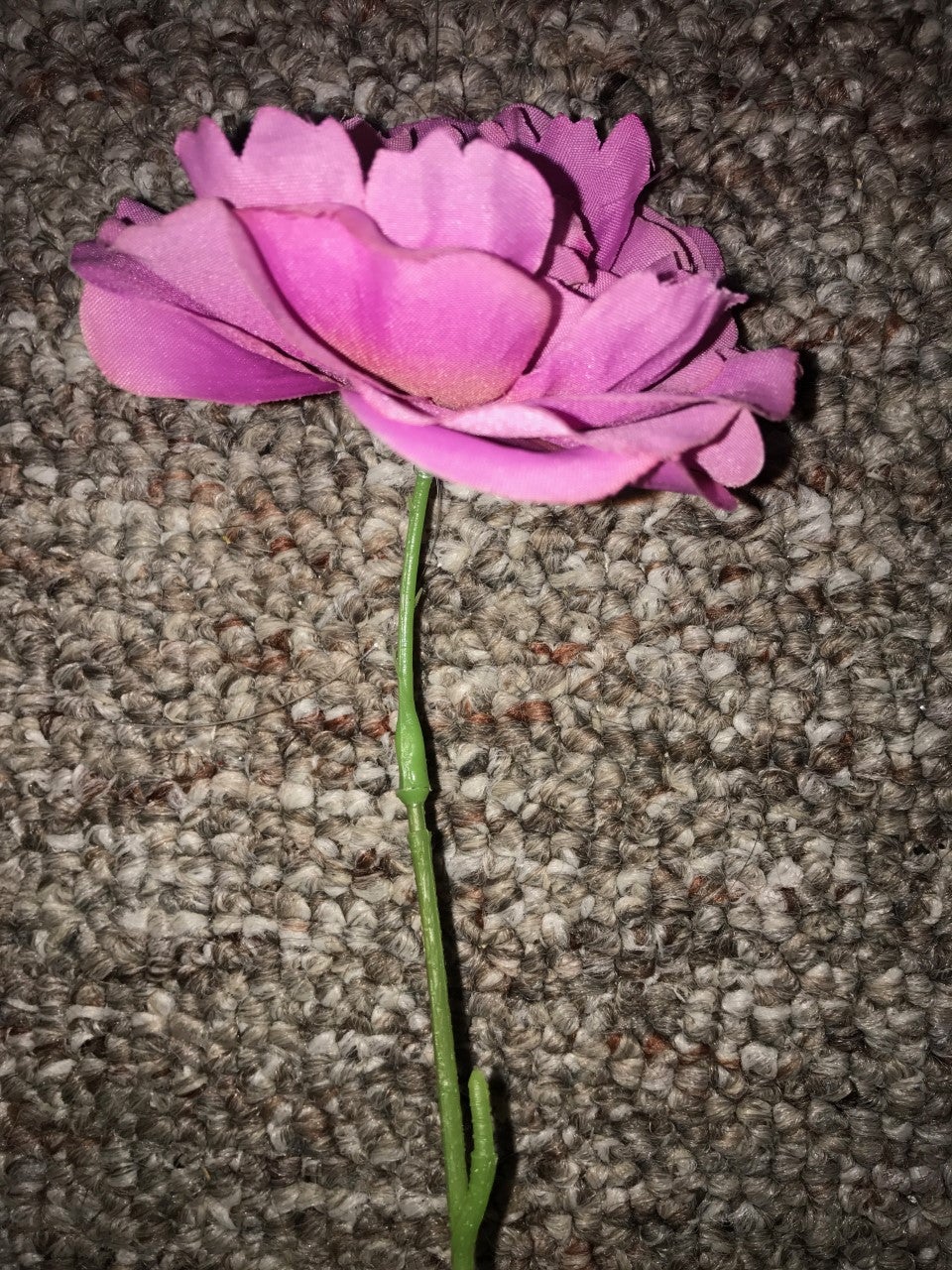 Measure and Cut Flowers