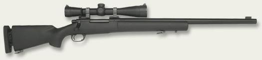 DSman195276's Sniper Rifle
