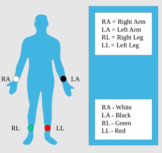 Step 5:  Human Signal Acquisition