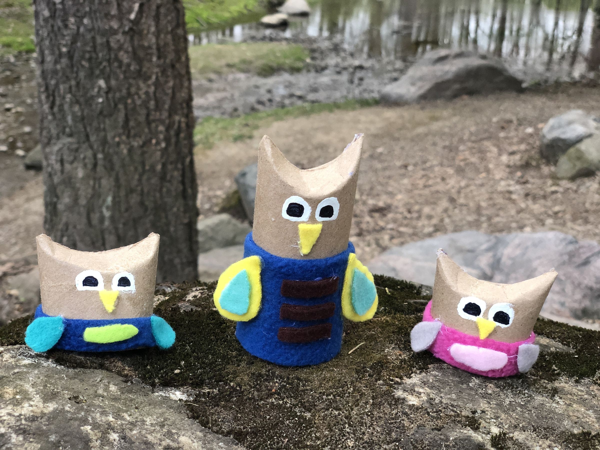 Recycled Cardboard Tube Owls 9 Steps (with Pictures) Instructables