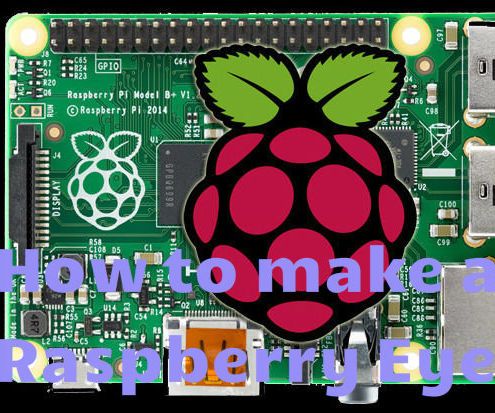 How to Make a Raspberry Eye 