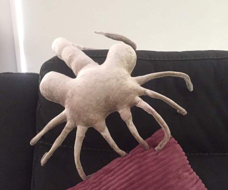 Alien Facehugger Plush With Bendable Limbs 11 Steps (with Pictures