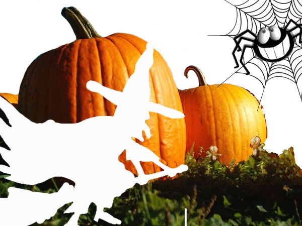 Womenâ€™s Easy Halloween Costumes Made From Your Own Wardrobe!