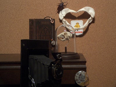 Simple Skull Display
