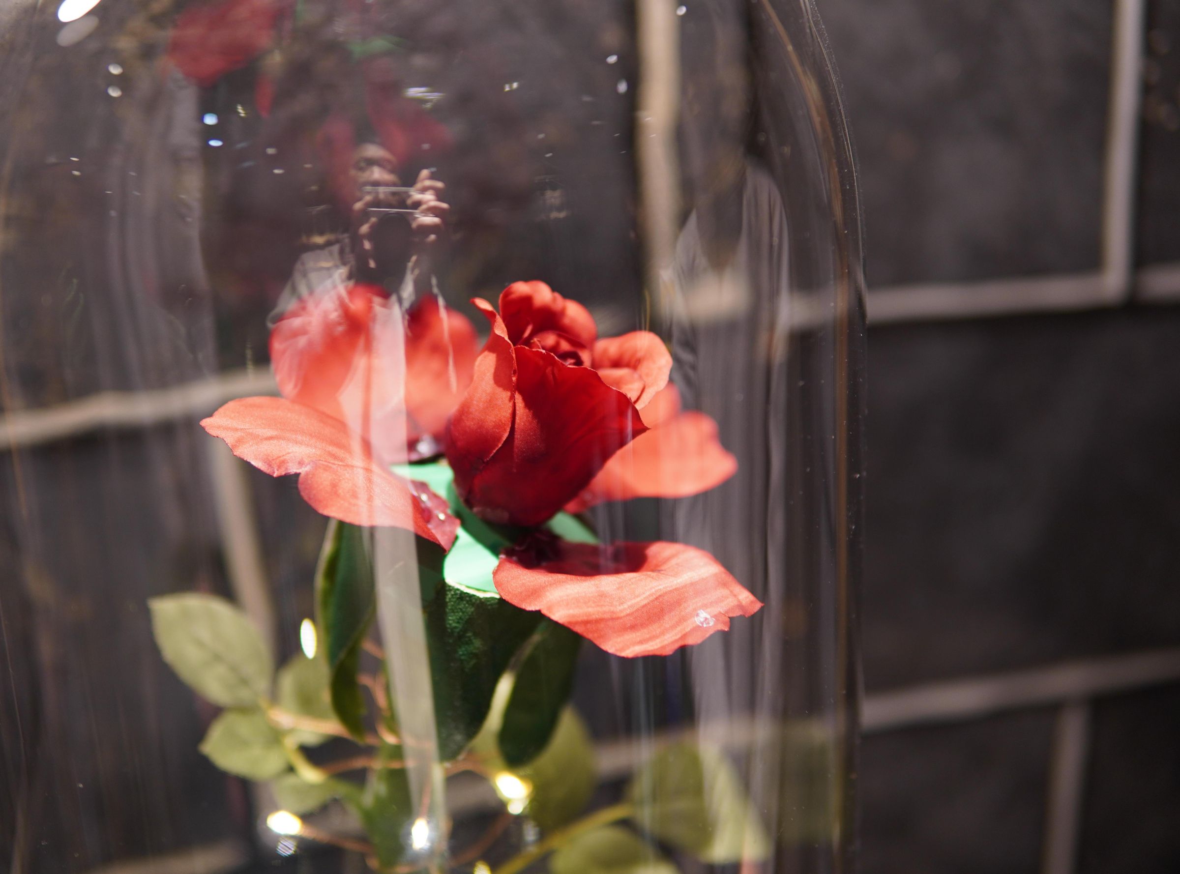 Beauty and the Beast - Enchanted Rose Prop