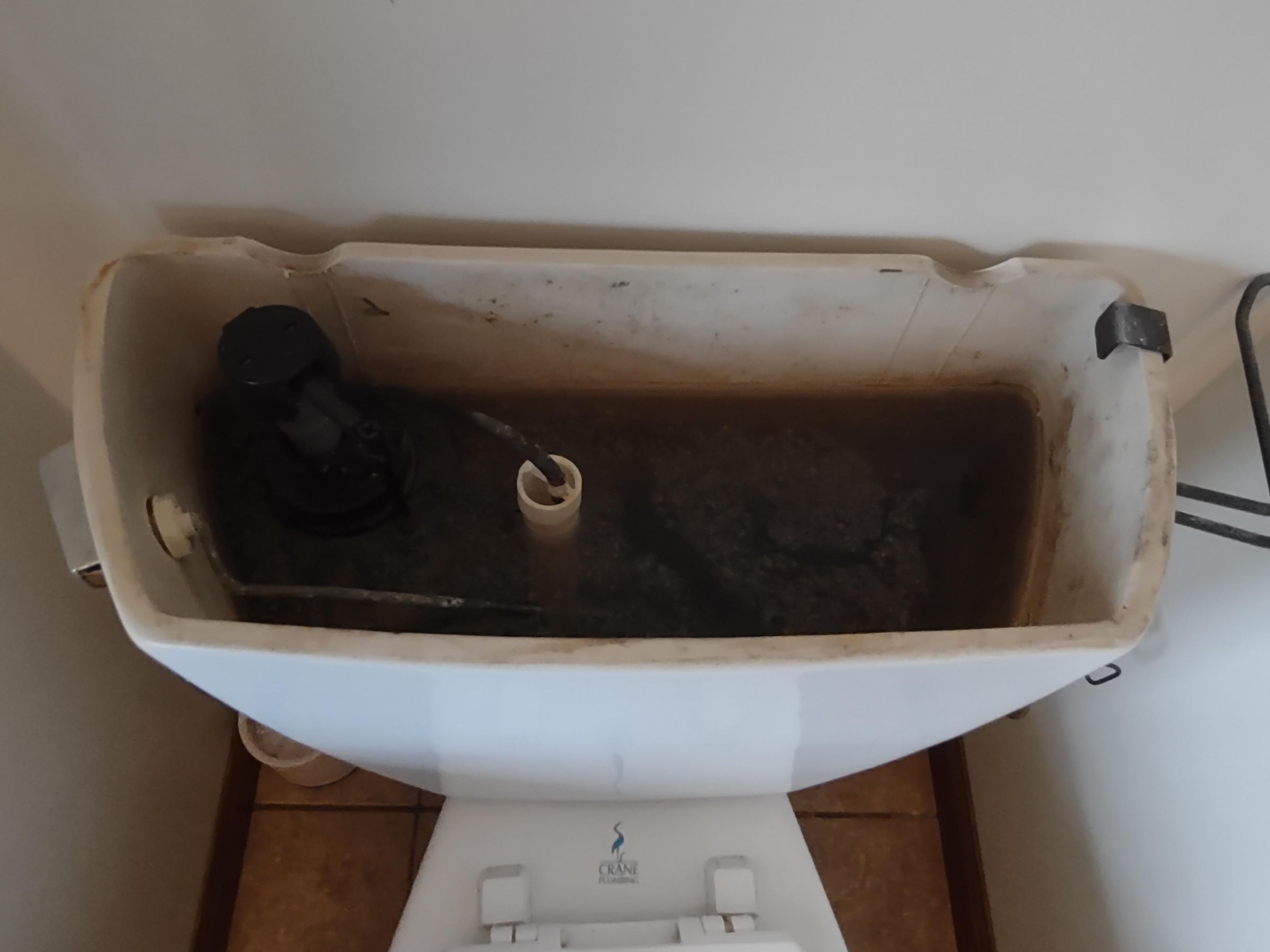 Fix a Toilet Tank Loose Handle, Discolored Water, and High Water Level