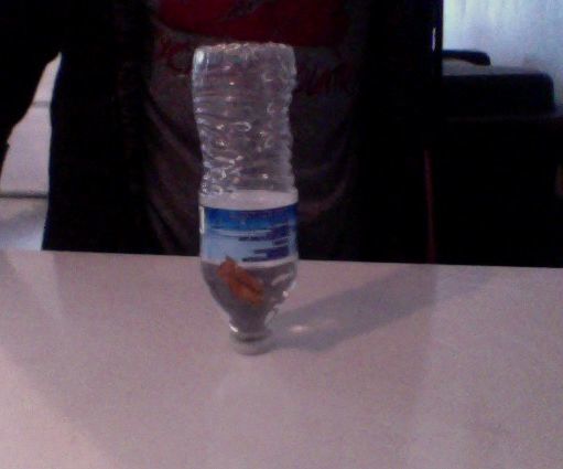 How to (cheat) Flip a Bottle on Its Cap