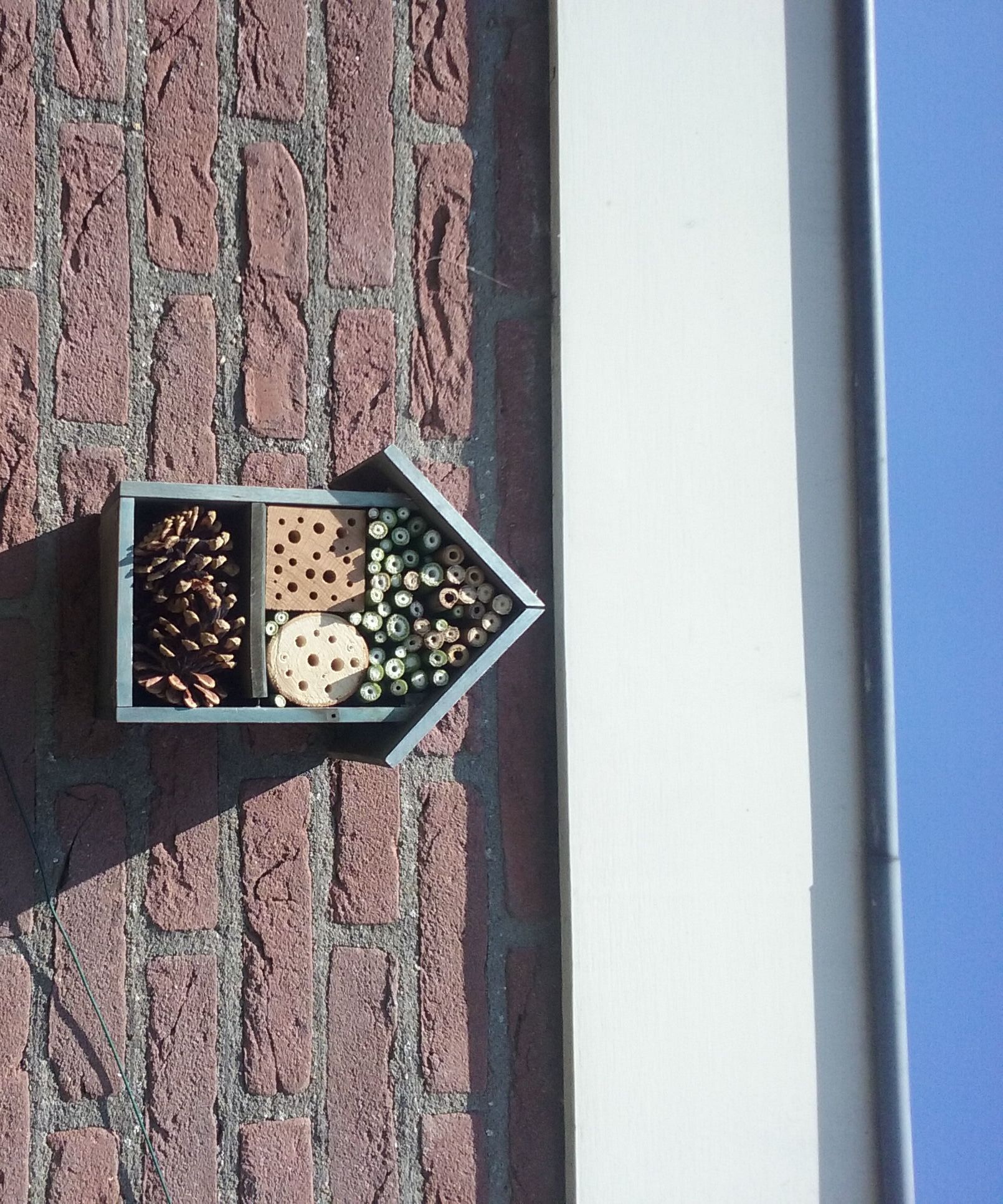 From (unused) Birdhouse to Insect Hotel