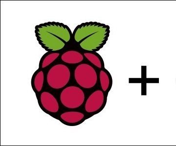 Raspberry Pi Torrent Box