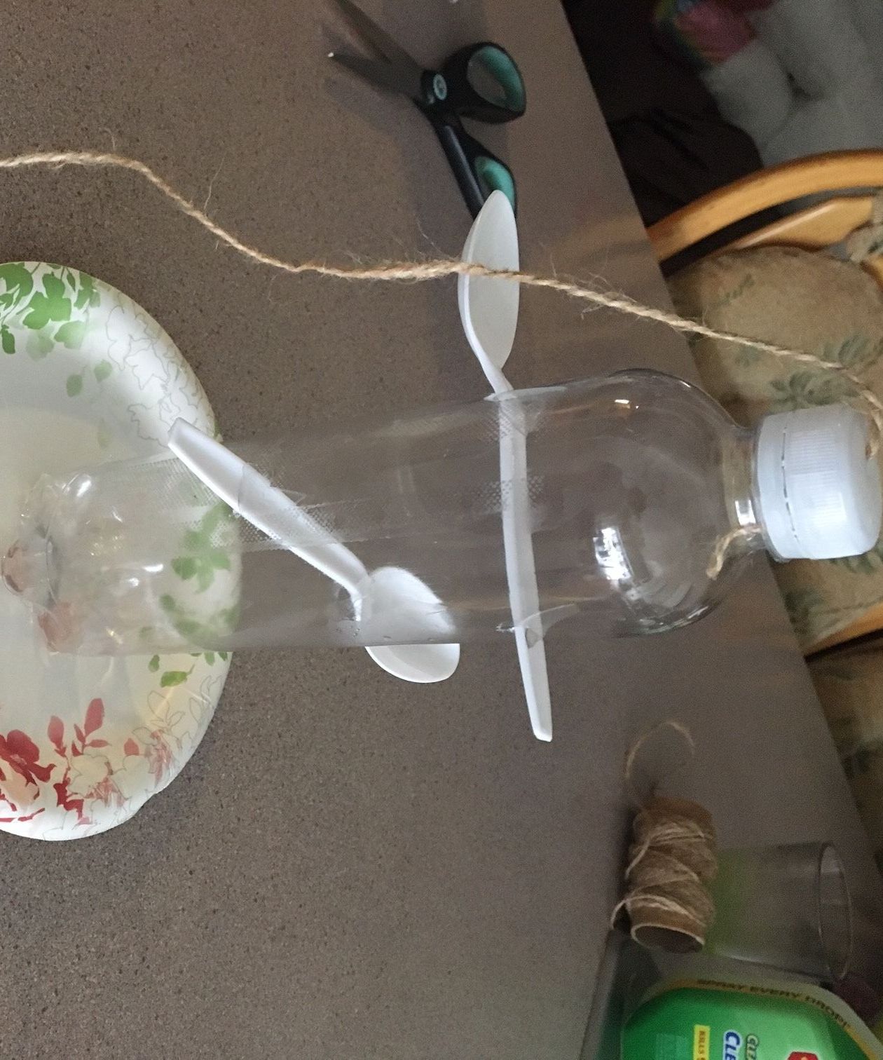 Bird Feeder
