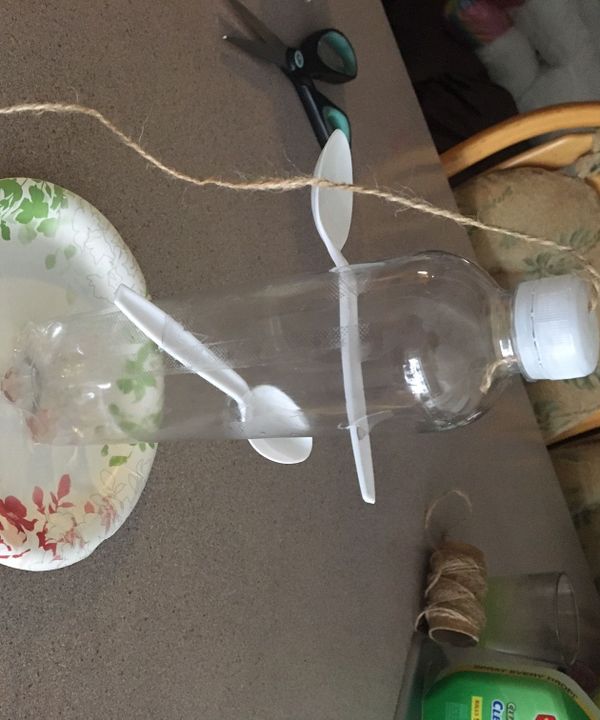 Bird Feeder