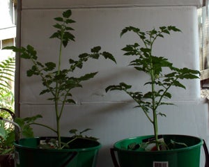 how to ground your garden