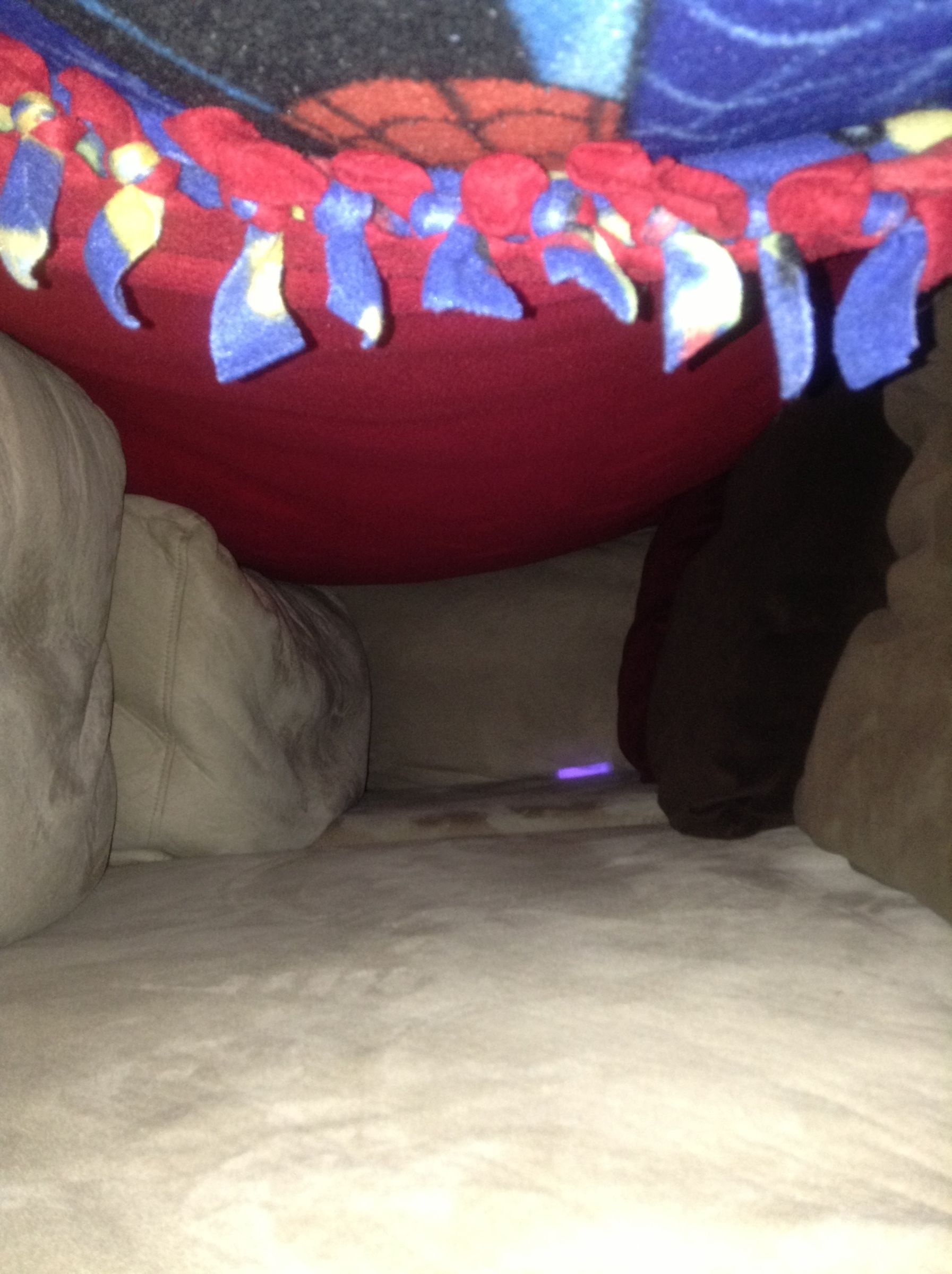 Rainy Day Fort
