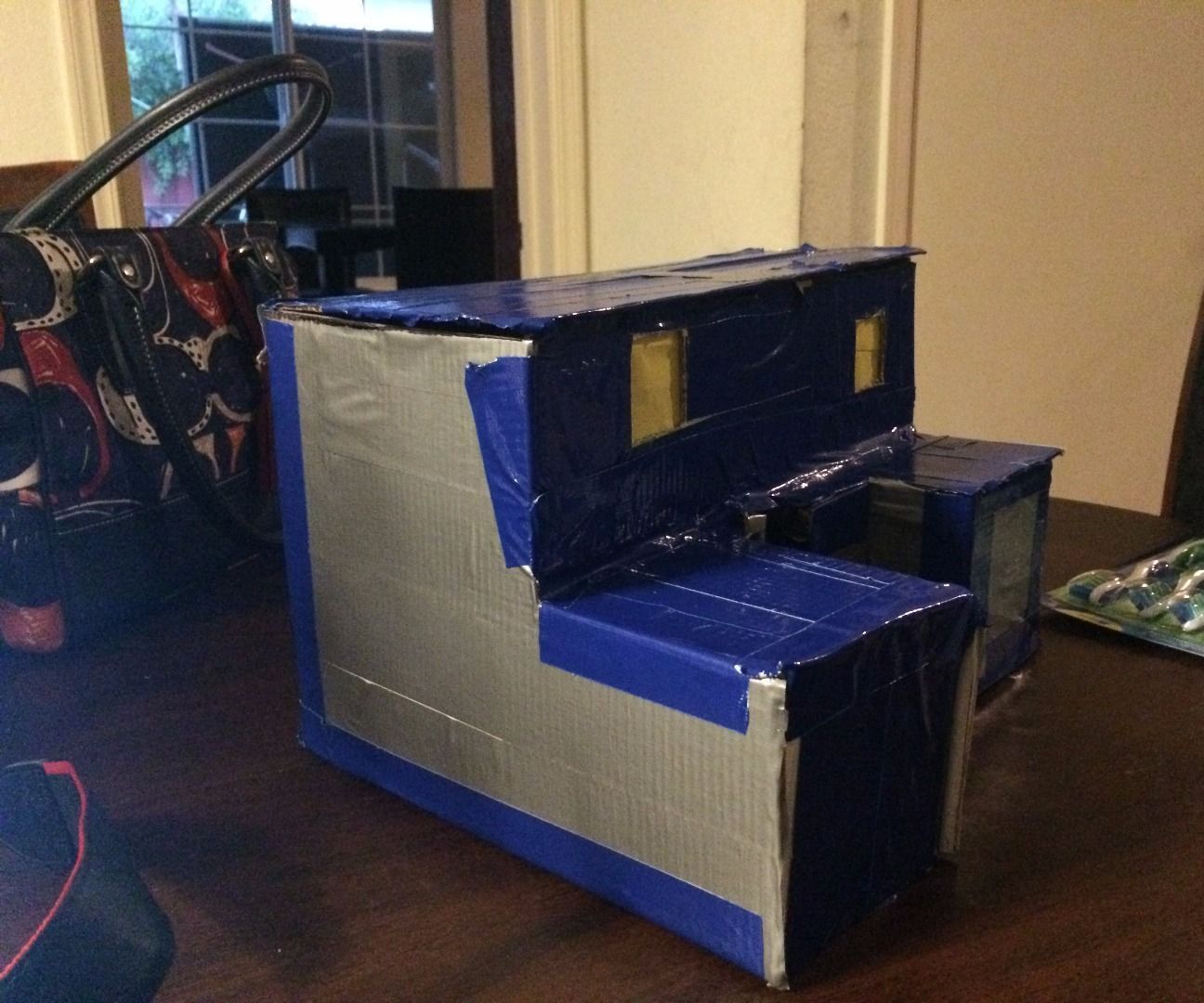 Duct Tape Card Board House and Hiding Place