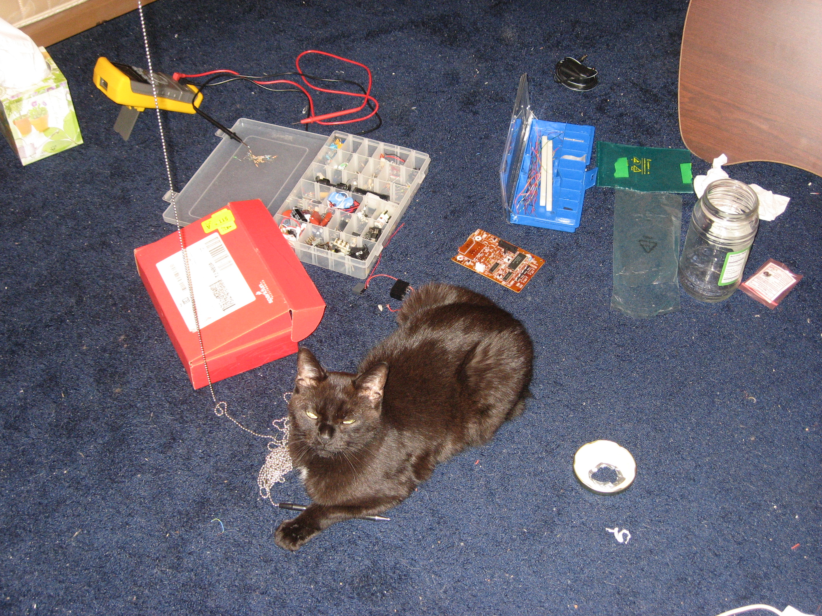 Motion Sensitive Tesla Coil