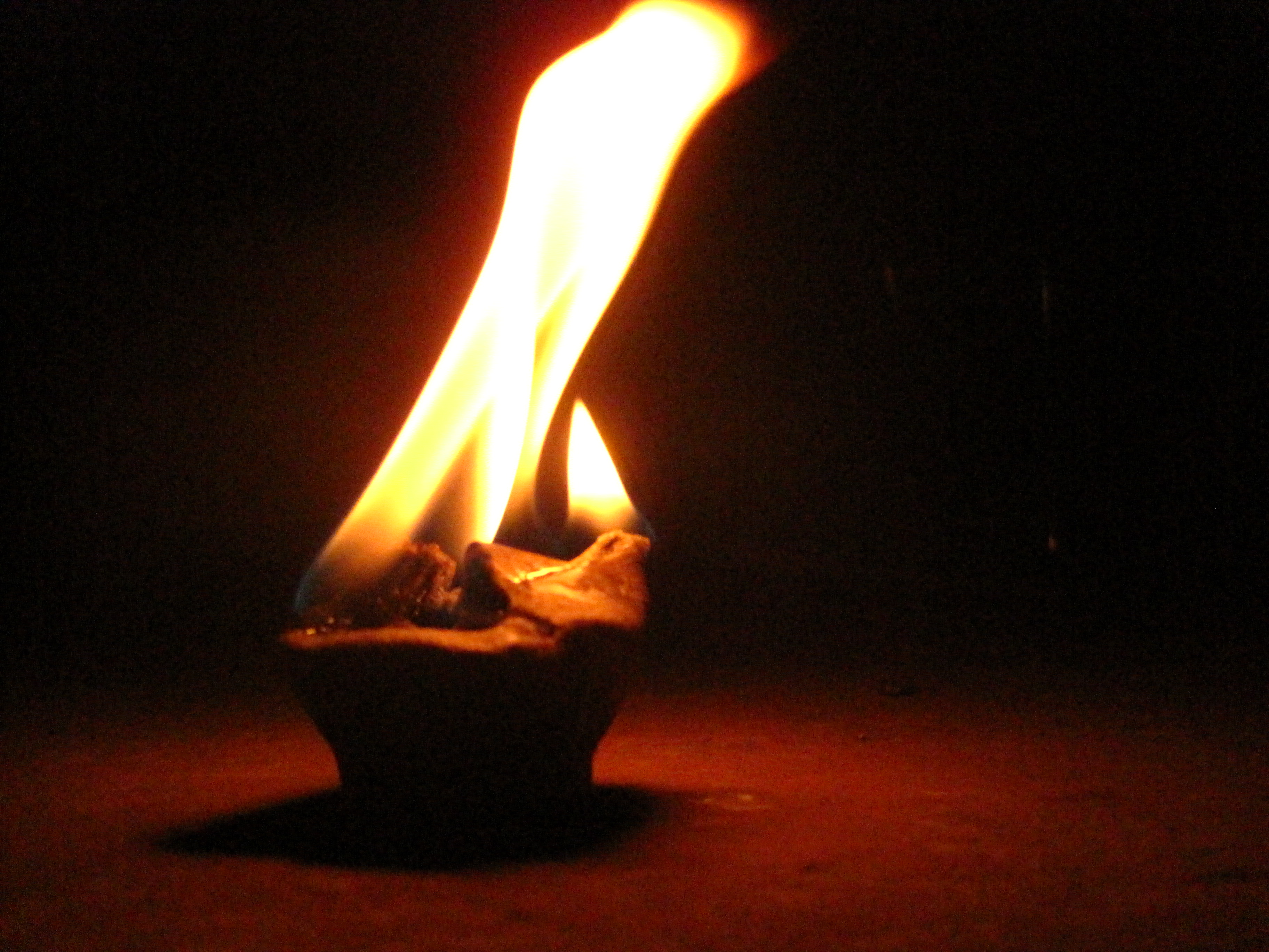 Waterproof Dryer Lint Fire-Starter