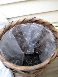 Fill the Box With Potting Soil and Fertilizer